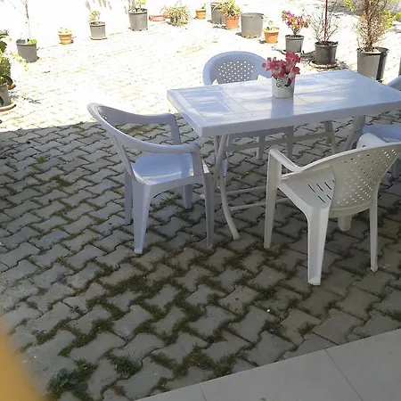 Nese Homes *