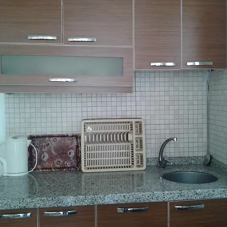 Nese Homes